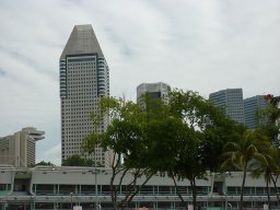 114_image